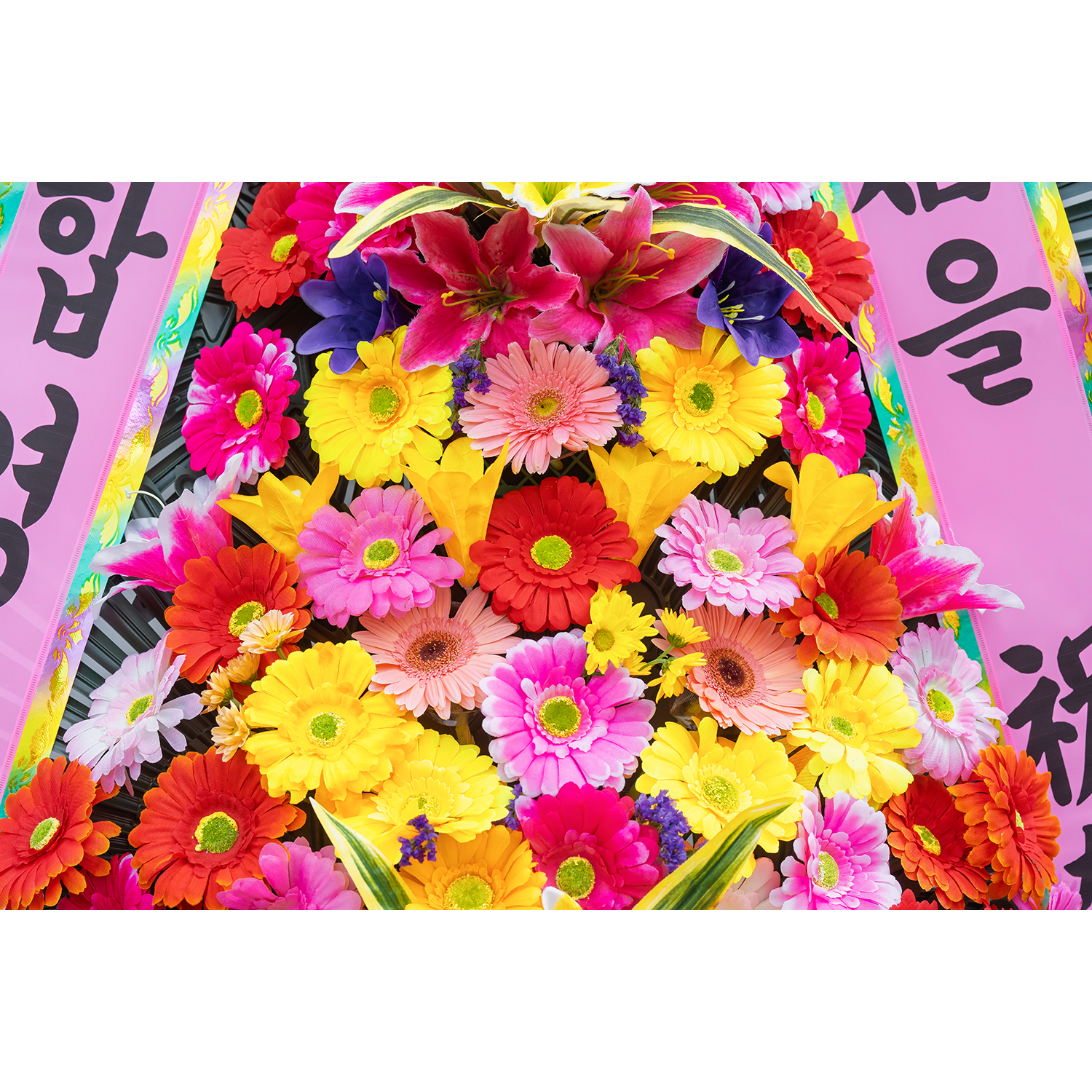 [축하화환] 축하 3단 고급형