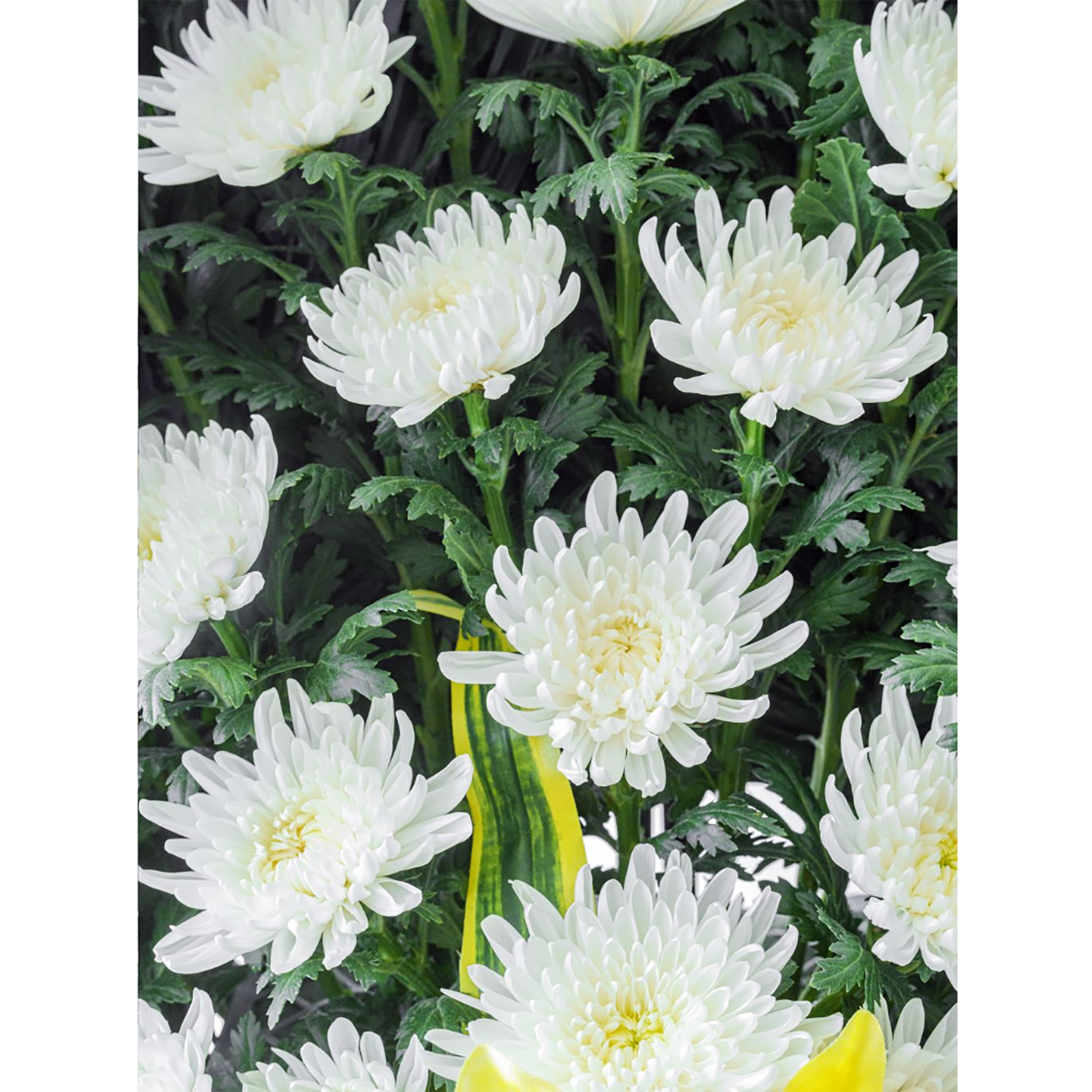 [근조화환]근조 오브제 1단